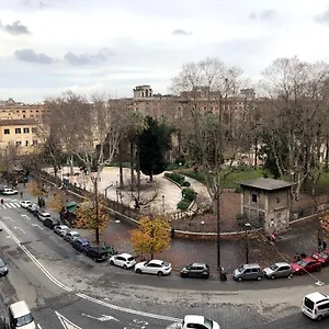 Large In Center Roma